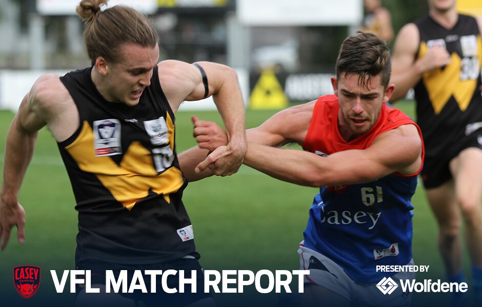 190601_VFL_MatchReport.jpg